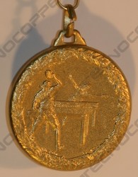 ping pong medaglie coppe e trofei targhe dm01