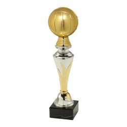 trofeo pallavolo pallone