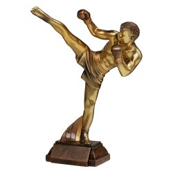 trofeo kickboxing