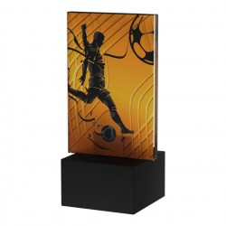 trofeo calcio in vetro