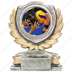 pallavolo volley trofei coppe targhe medaglie DISFG150