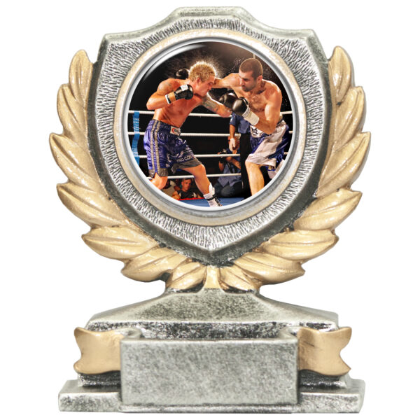 trofeo boxe