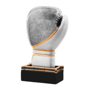 trofeo boxe