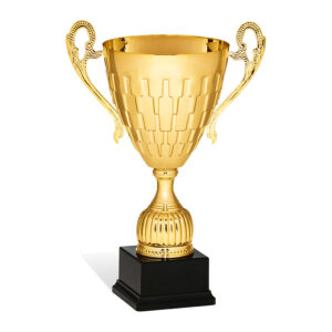 coppa con manici oro