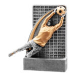 trofeo portiere