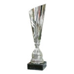 coppa argentata