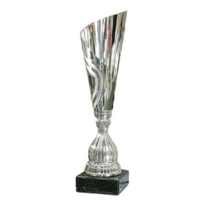 coppa argentata